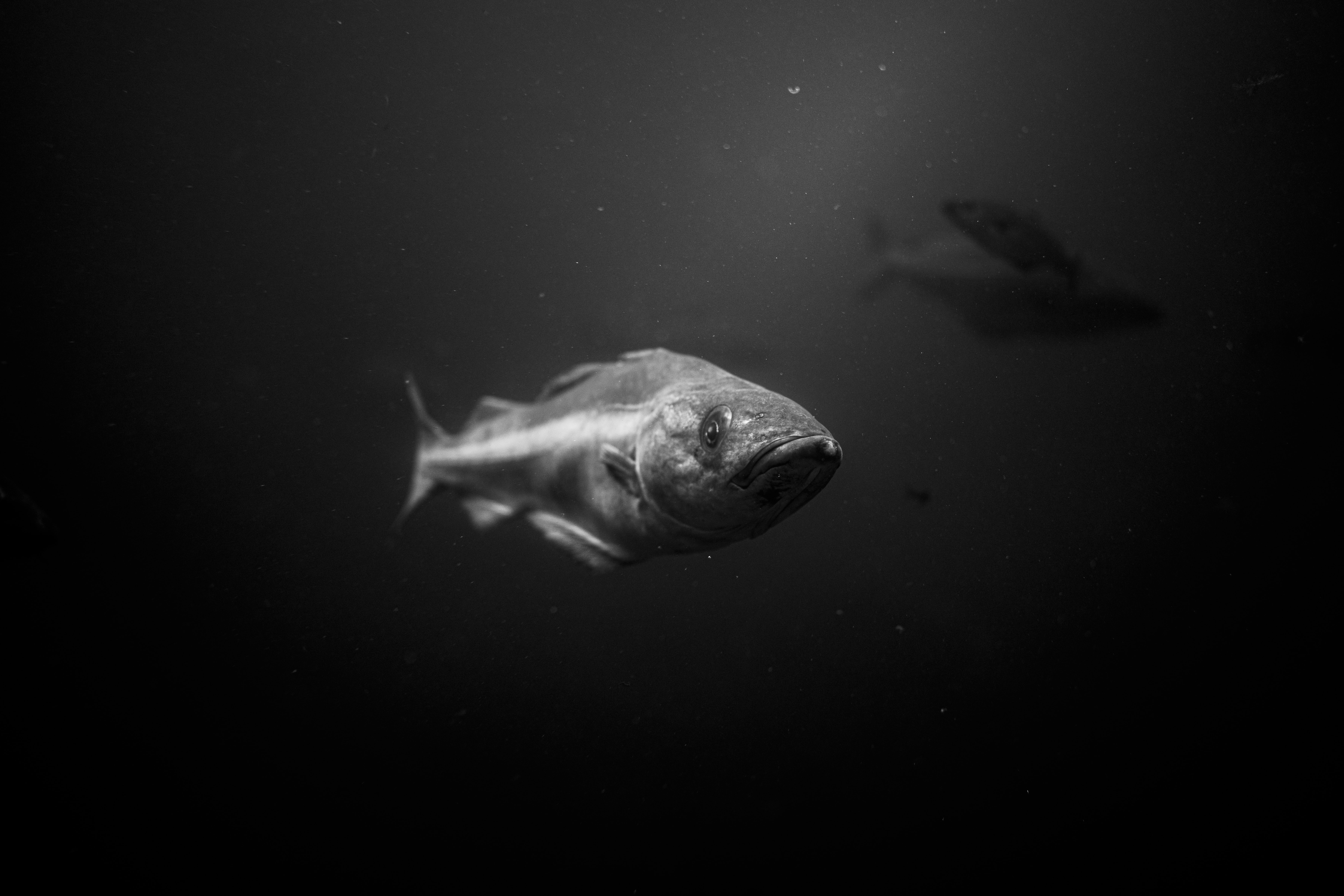 Slider Image 4